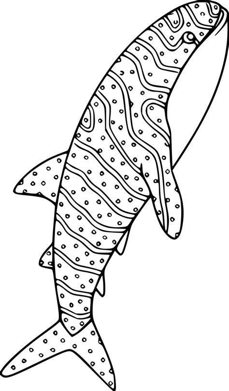 Whale Shark Jumping Out Of Water Coloring Pages - Coloring Cool