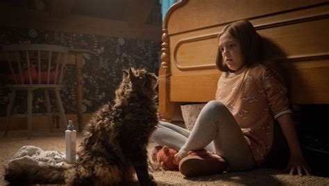 Pet Sematary (2019) Film Review - Stuff We've Seen