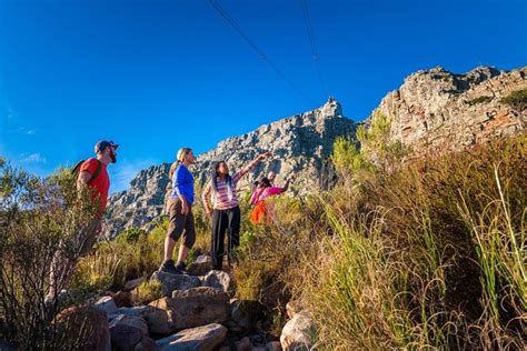 Private Hiking Tour of Table Mountain 2024 - Cape Town