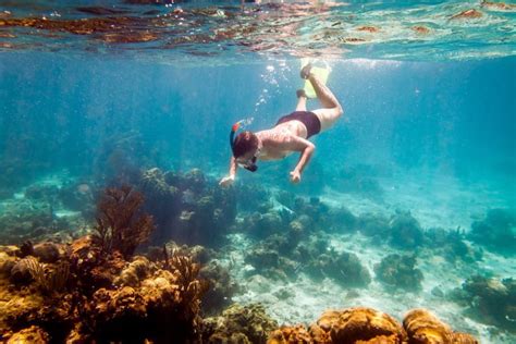 best snorkeling in maui for beginners - Jarvis Collado