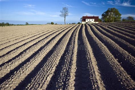 Ploughed Field in Spring Prepared for Sowing. Stock Image - Image of agriculture, ploughed ...