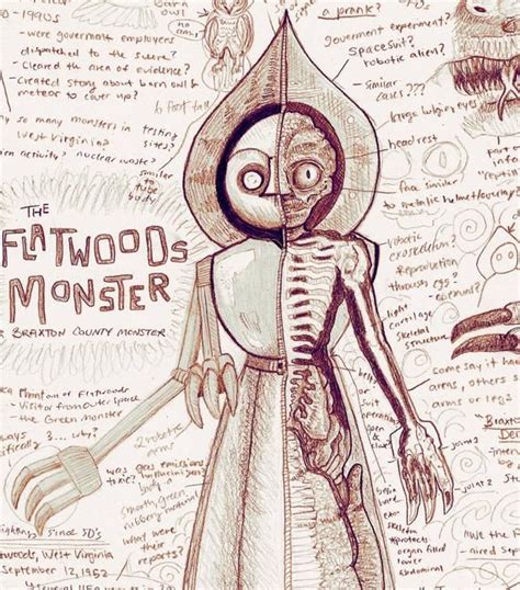 Flatwoods Monster Alien Anatomy Study Print | Etsy | Flatwoods monster, Cryptozoology, Mythical ...