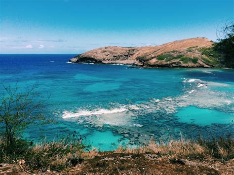 hanauma bay|honolulu Hanauma Bay, Honolulu, Coastline, Places, Water ...