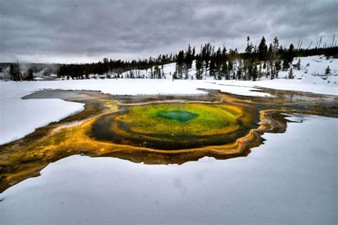 Yellowstone: Winter Wonderland