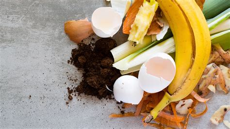 5 Benefits of Composting at Home - Healthy Huemans