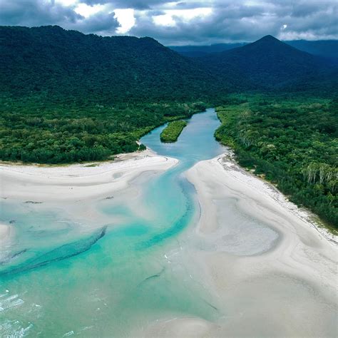 Daintree Rainforest, Queensland, Australia [OC] [2959x2959] : r/EarthPorn