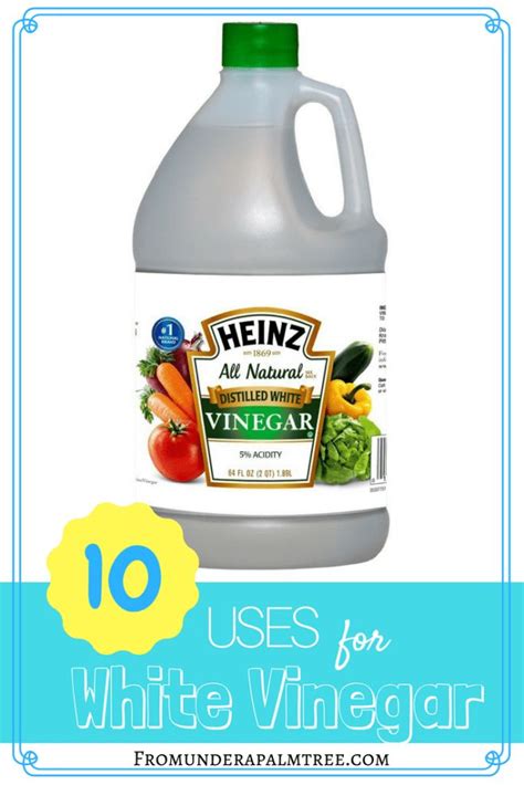 10 Uses for White Vinegar > From Under a Palm Tree | Uses for white ...