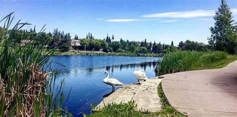 Camrose, Alberta 2023: Best Places to Visit - Tripadvisor