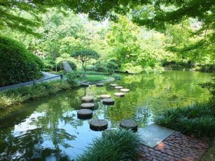 Fort Worth Botanic Garden, Fort Worth | Ticket Price | Timings ...