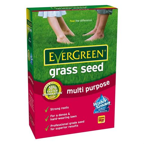 Evergreen Multi Purpose Grass Seed 1.68kg* - CraftyArts.co.uk