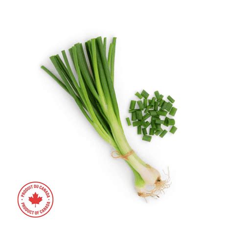 Fresh Green Onions • Marché CTFO