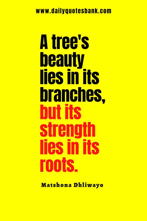 101 Roots Quotes That Will Help Always Remember Your Roots