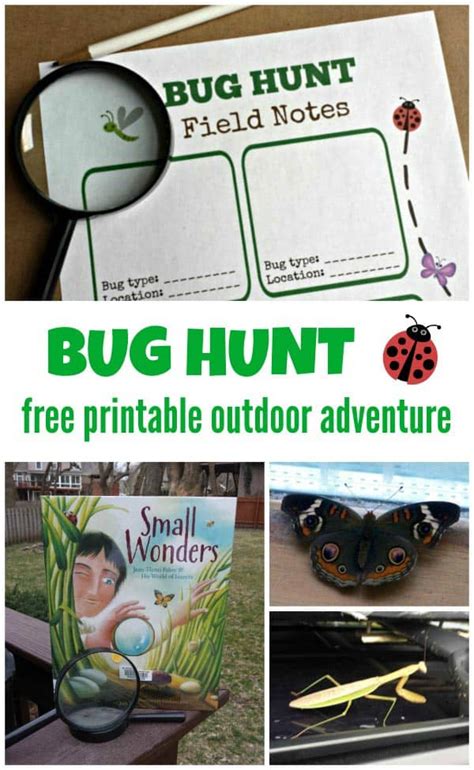 FREE Printable Outdoor Adventure Bug Hunt