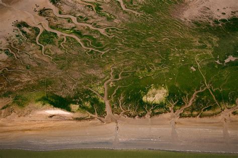 Marshland Trees | Smithsonian Photo Contest | Smithsonian Magazine