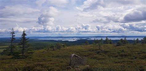 Nature in Finland - Out in the Nature