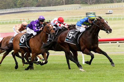 Coolmore Racing Offers World of Opportunity | Breednet