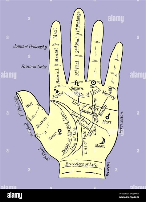 Palmistry. Historical artwork of a palm map used in palmistry. This ...