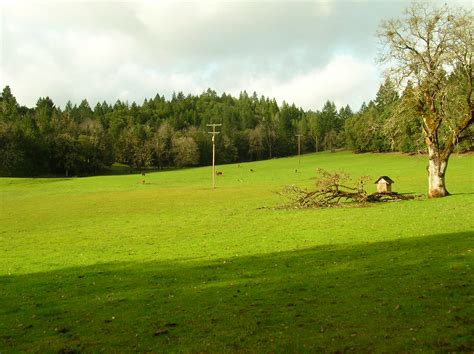 sunny valley | near wolf creek, oregon | sushiesque | Flickr