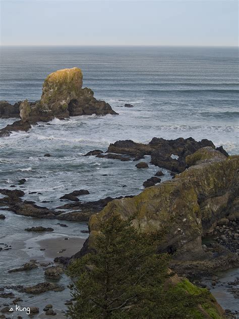 Real Chick Hiking: Ecola State Park