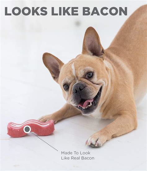 Buy Petstages Bacon Bone Chew Dog Toy - Same-Day Shipping - Vetco Store