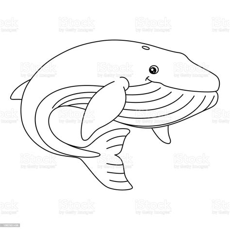 Blue Whale Coloring Page Isolated For Kids Stock Illustration - Download Image Now - Animal ...