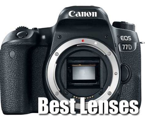 Best Lenses for Canon 77D « NEW CAMERA