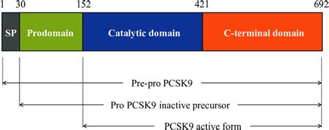 PCSK9 protein structure | Download Scientific Diagram