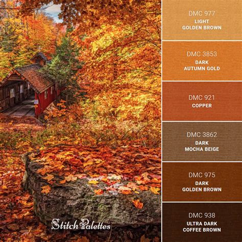The Fall Color Palette Hex Rgb Code Fall Color Palett - vrogue.co
