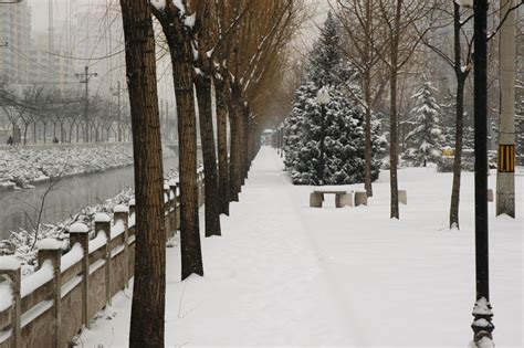 Winter In Beijing Free Stock Photo - Public Domain Pictures