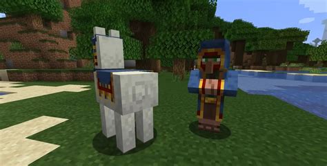 Minecraft: Wandering Trader Location, Where to Find