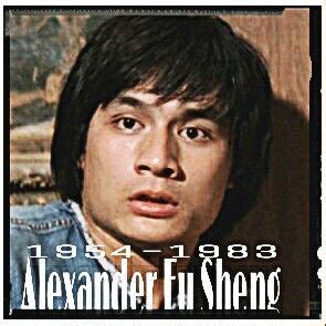 Alexander Fu Sheng! | Martial arts actor, Kung fu martial arts, Martial ...