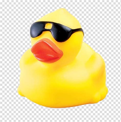 duck wearing sunglasses clipart 10 free Cliparts | Download images on Clipground 2024