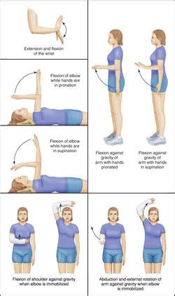 Range-of-motion exercise | definition of range-of-motion exercise by ...