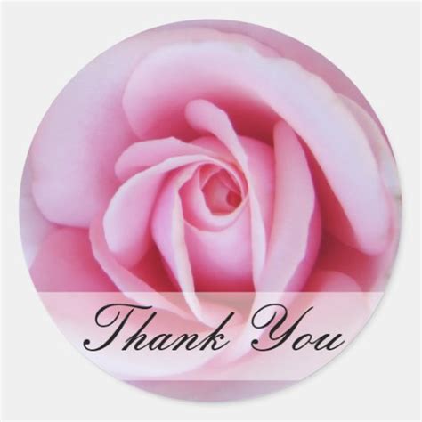 Thank You Pink Rose Sticker | Zazzle