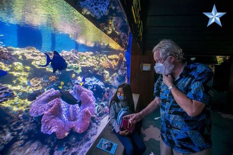 Waikiki Aquarium reopens its doors for medical professionals and their families | Honolulu Star ...