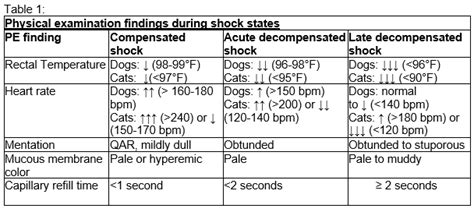 Specialty Spotlight: Classifications of Shock - Upstate Veterinary Specialties