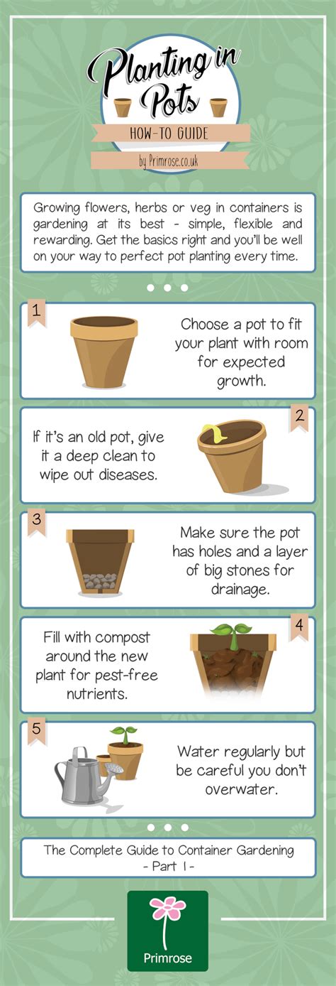 How to Plant in Pots - Primrose Garden Club | Expert Tips, Advice & Inspiration