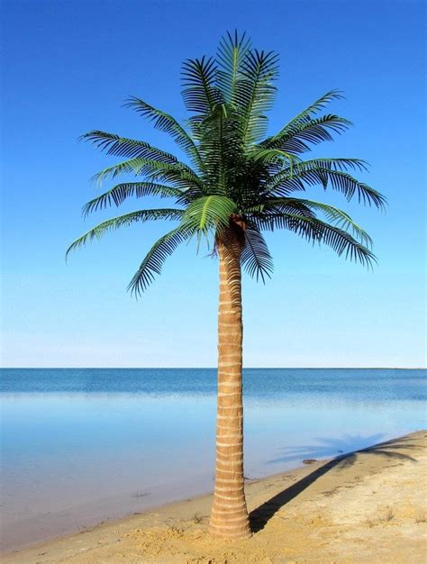 Custom Made Palm Trees - Artifical Exterior Palms | Palm tree pictures, Fake palm tree, Coconut ...