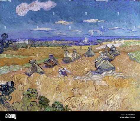 Van gogh wheatfield reaper hi-res stock photography and images - Alamy