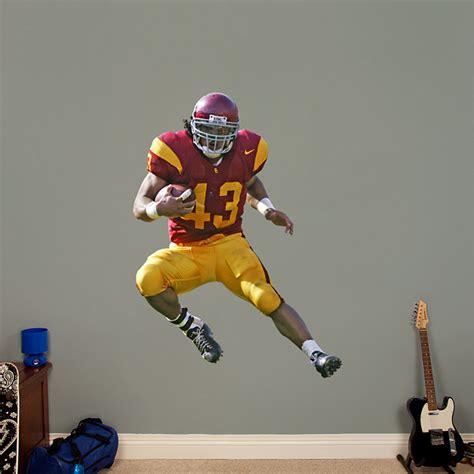 Life-Size Troy Polamalu USC Wall Decal | Shop Fathead® for USC Trojans ...