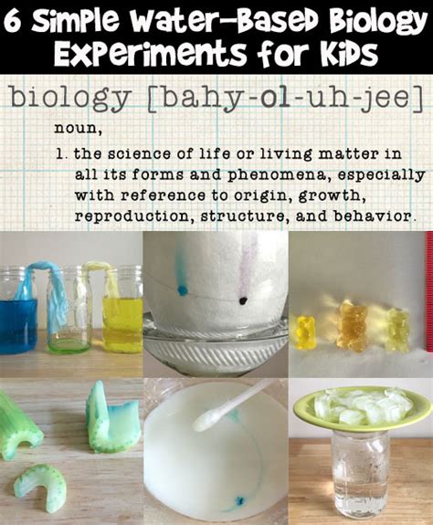 6 Easy Biology Science Experiments for Kids | Woo! Jr. Kids Activities ...