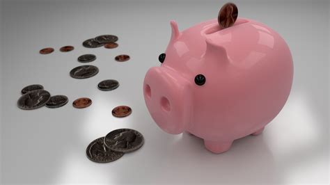 Little Pig, Piggy Bank, Euro Free Stock Photo - Public Domain Pictures