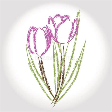 Crayon Flower Drawing, Flower Sketch . Stock Illustration - Illustration of drawing, sketch ...