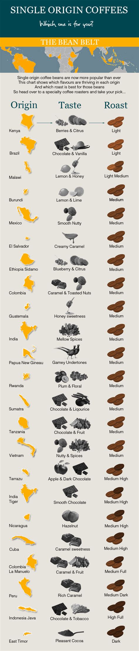 Coffee Infographic: Comparing Your Single Origin Beans