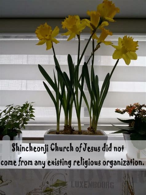 Peace in the Bible: Beliefs and Knowledge of Shincheonji Church