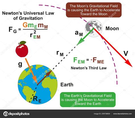 Isaac Newton Gravity Equation