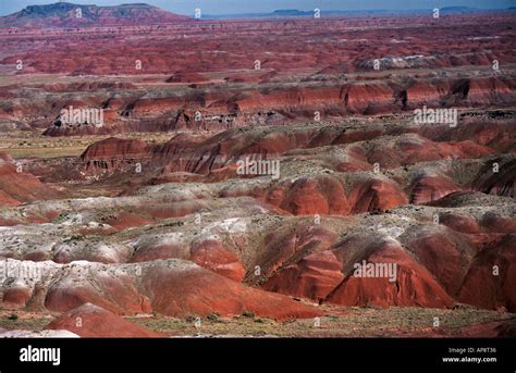 Painted Desert Petrified Forest national park Arizona USA Stock Photo ...