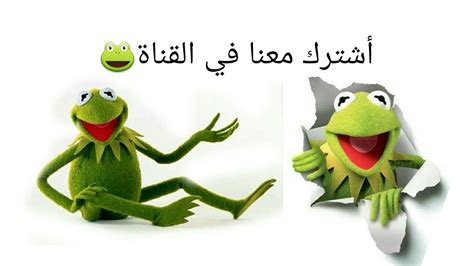 الضفدع كيرميت نكت مضحكه #3🐸👊 - YouTube