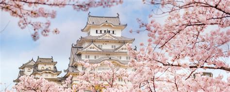 Cherry Blossom Japan / Cherry Blossom Viewing Guide 2020 Kansai Region ...