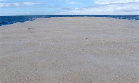 Giant pumice island floats in the Pacific - Australian Geographic